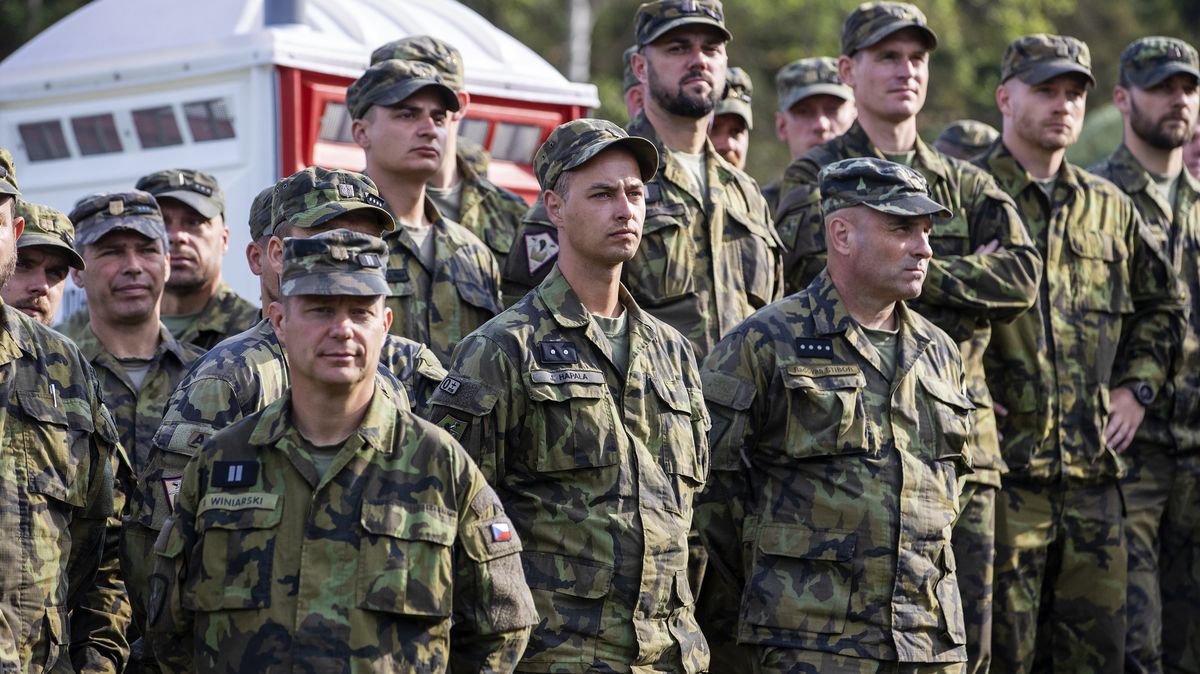 Vojáci z Ukrajiny se budou dál cvičit v ČR, rozhodla Sněmovna